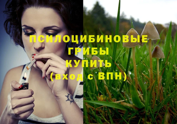 ГАЛЛЮЦИНОГЕННЫЕ ГРИБЫ Абинск