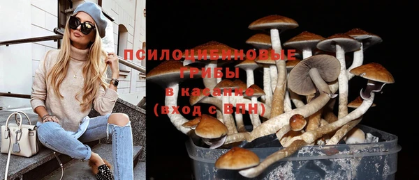 спиды Алексеевка